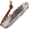 Нож FOX KNIVES DEER F226/7 SCE